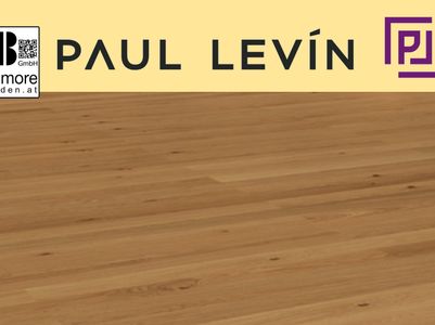 Paul Levin Scheucher Titelbild Internet