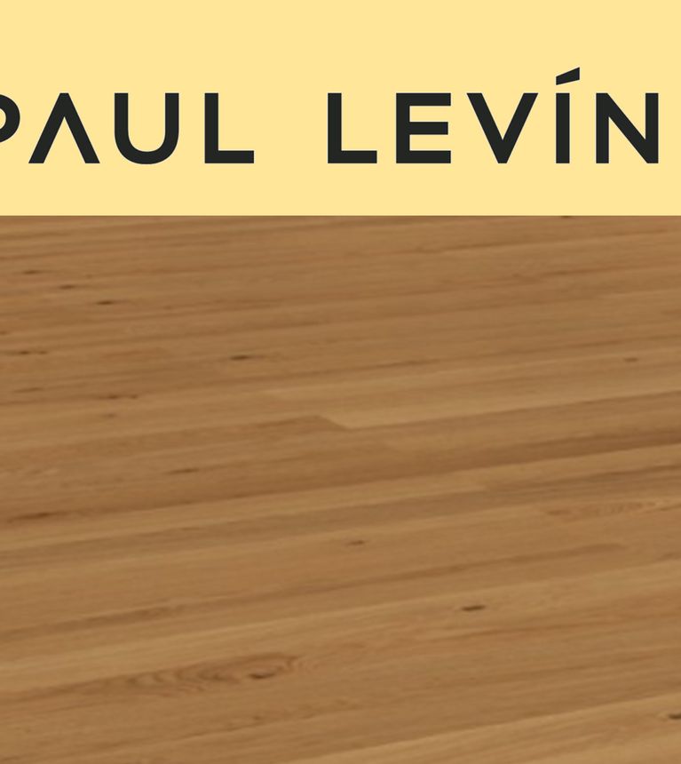 Paul Levin Scheucher Titelbild Internet