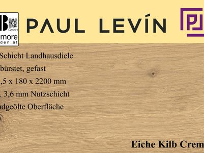 Paul Levin K2 Titelbild Internet