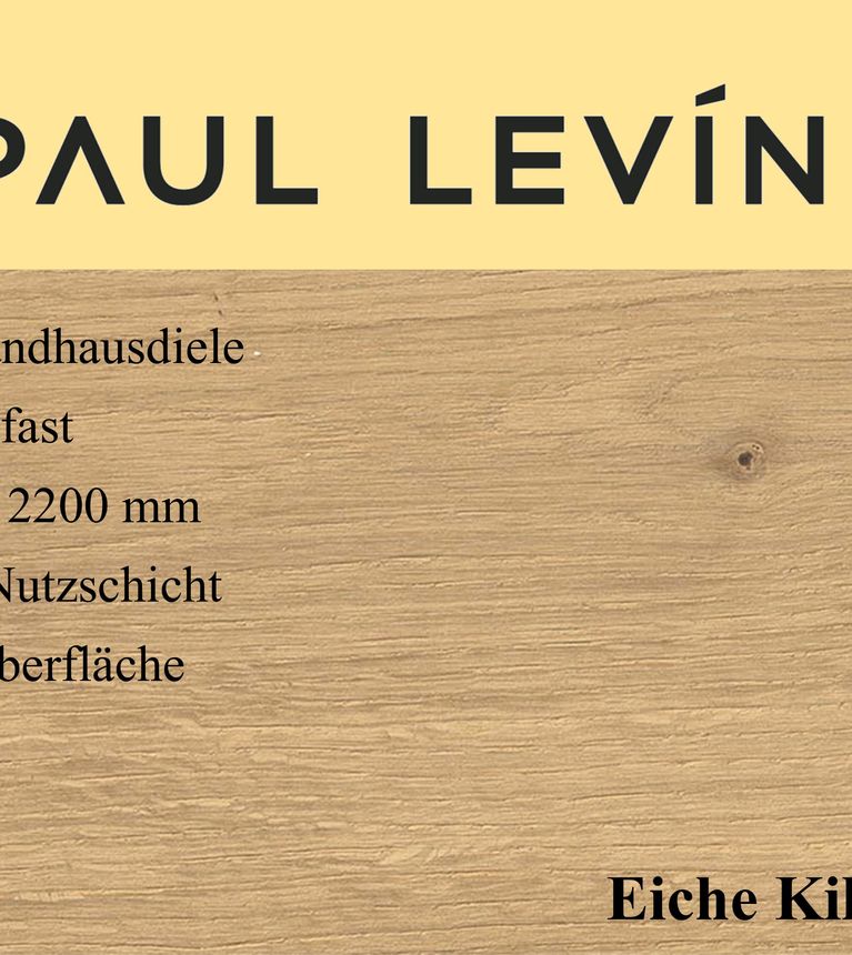 Paul Levin K2 Titelbild Internet